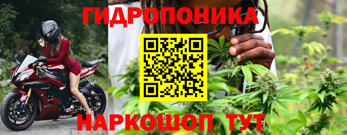 МАРИХУАНА SATIVA & INDICA  Бошки Шишки марихуана  Вход с VPN  Бошки Шишки Amnesia  Каннабис LSD WEED  Златоуст 